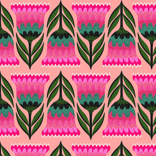 Jumpstart - Celosia in Punch