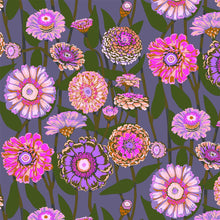 Load image into Gallery viewer, Jumpstart - Zinnia Show in Mauve
