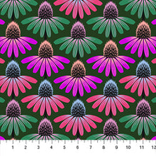 Load image into Gallery viewer, Perennial Borders - Echinacea Rhythm in Forest

