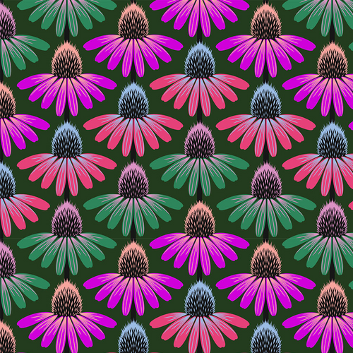Perennial Borders - Echinacea Rhythm in Forest