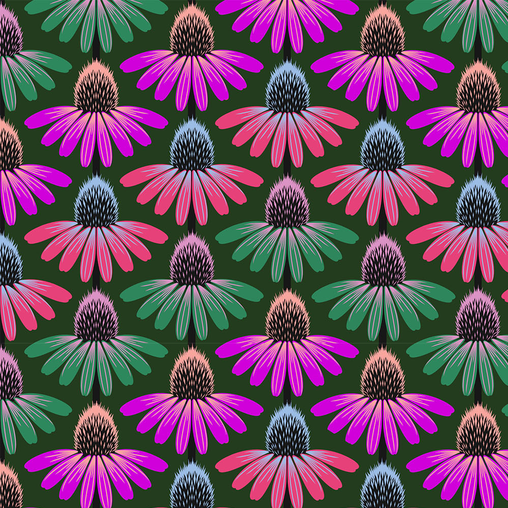 Perennial Borders - Echinacea Rhythm in Forest