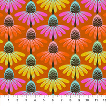 Load image into Gallery viewer, Perennial Borders - Echinacea Rhythm in Fire
