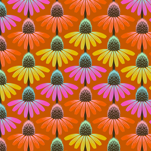 Perennial Borders - Echinacea Rhythm in Fire