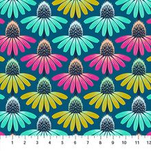 Load image into Gallery viewer, Perennial Borders - Echinacea Rhythm in Parade
