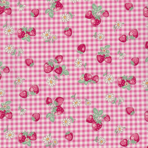 Atsuko Matsuyama - Strawberries on Gingham in Pink