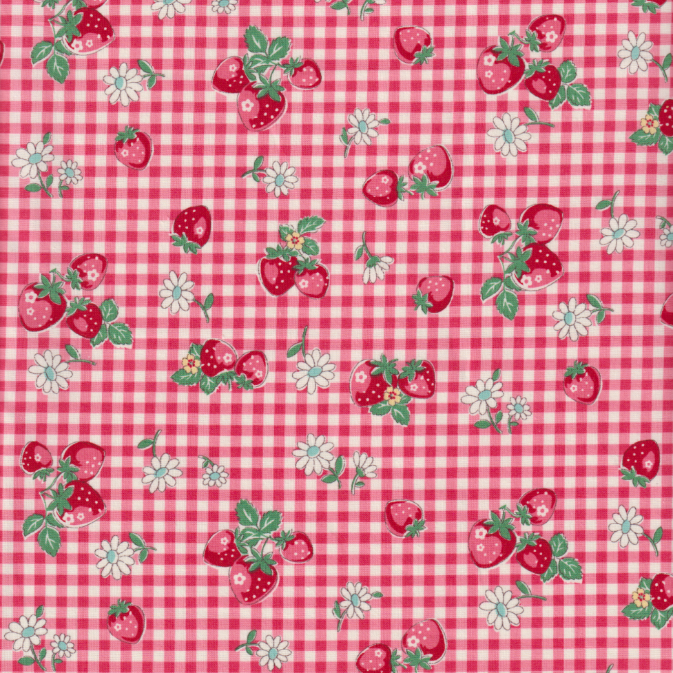 Atsuko Matsuyama - Strawberries on Gingham in Red
