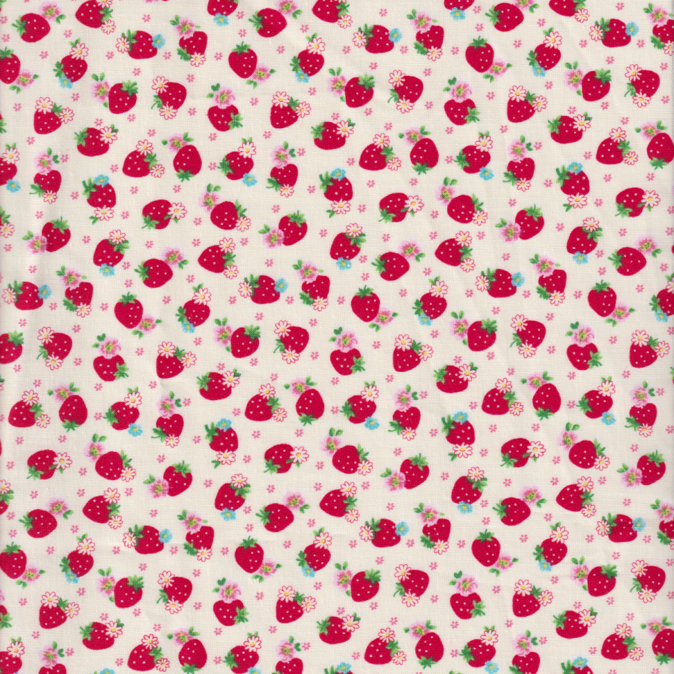 Atsuko Matsuyama - Small Strawberries on White