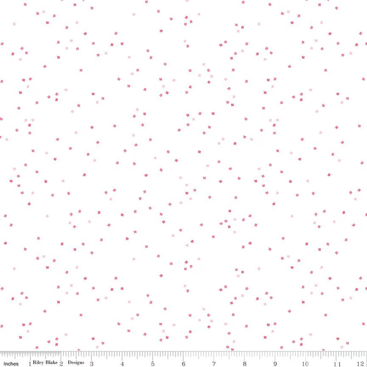 Blossom - On White in All the Pink