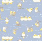 Cosmo - Singing Cockatiels in Blue