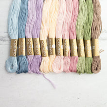 Load image into Gallery viewer, Cosmo Embroidery Set 12 Skeins
