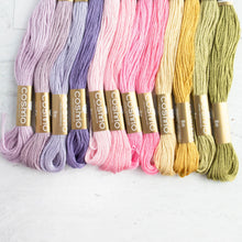 Load image into Gallery viewer, Cosmo Embroidery Set 12 Skeins

