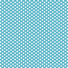 Fundamentals - 1/4 Spot in Barrier Blue