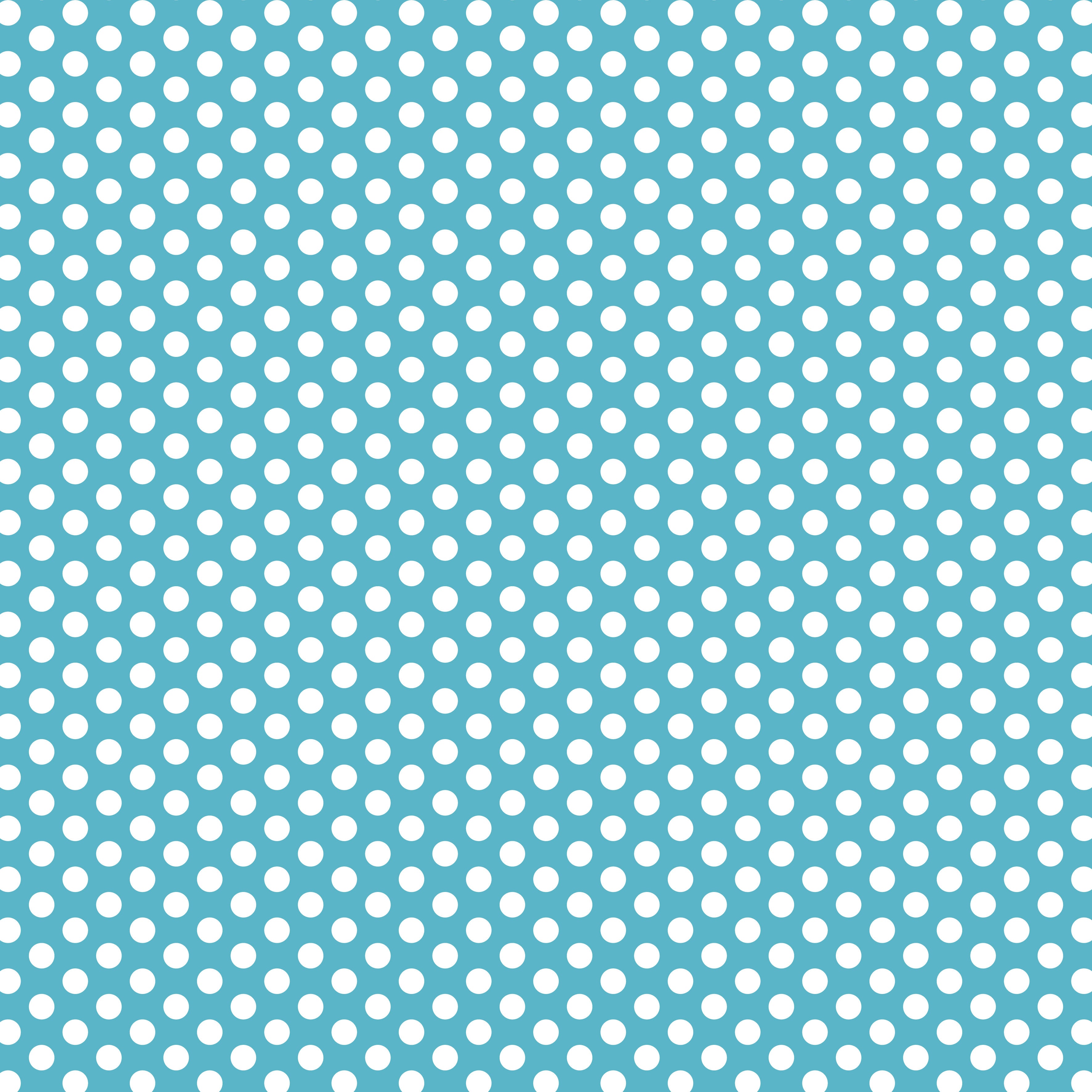 Fundamentals - 1/4 Spot in Barrier Blue