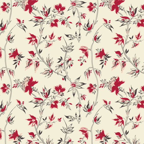 Peasholme Green- Alexandrina Red