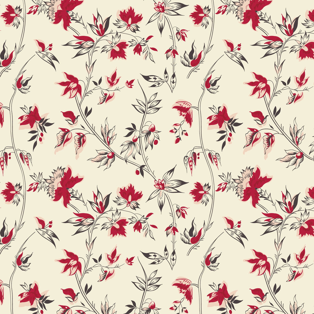 Peasholme Green- Alexandrina Red