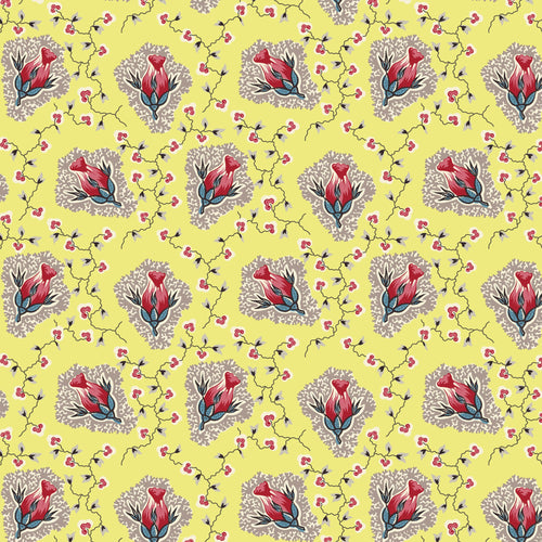 Peasholme Green- Cordelia Yellow