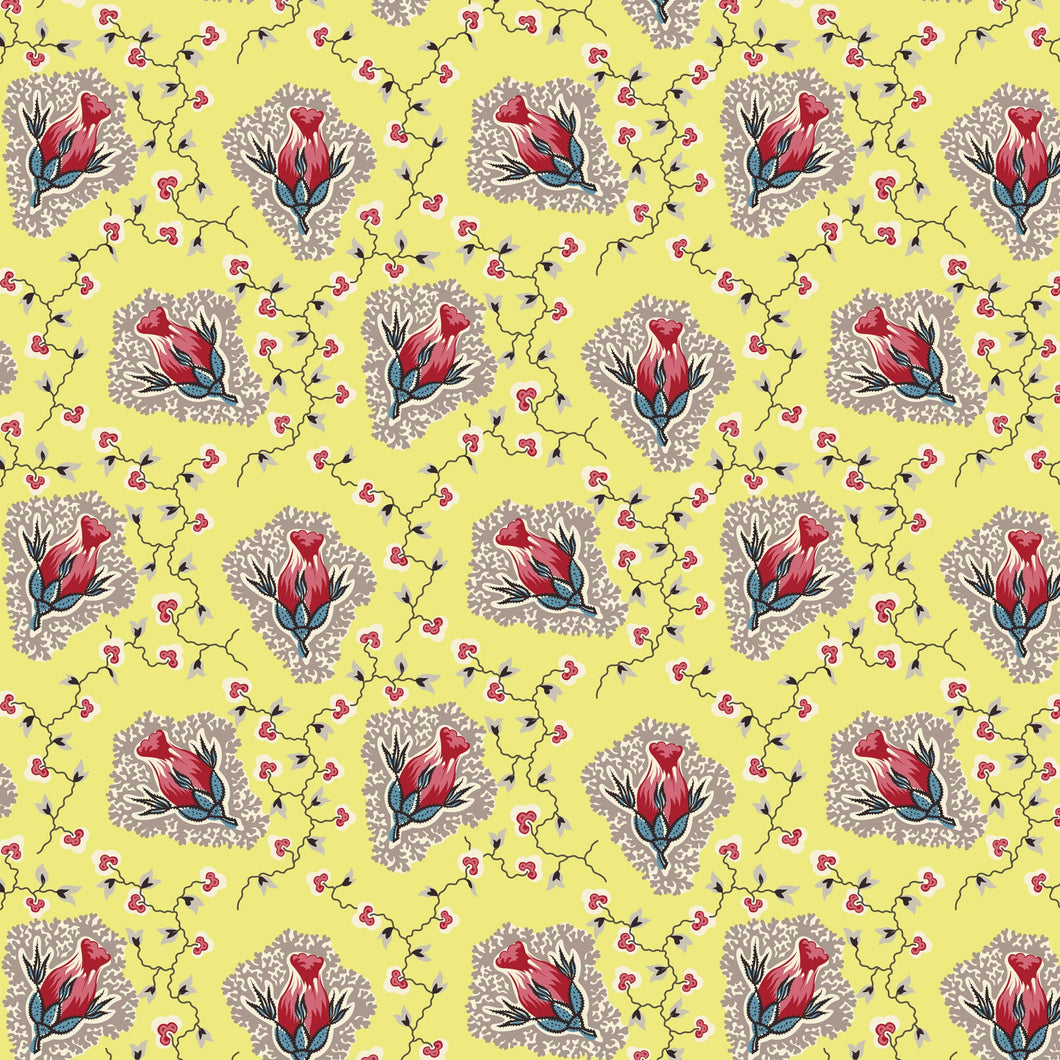 Peasholme Green- Cordelia Yellow