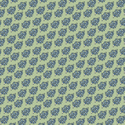 Peasholme Green- Heather