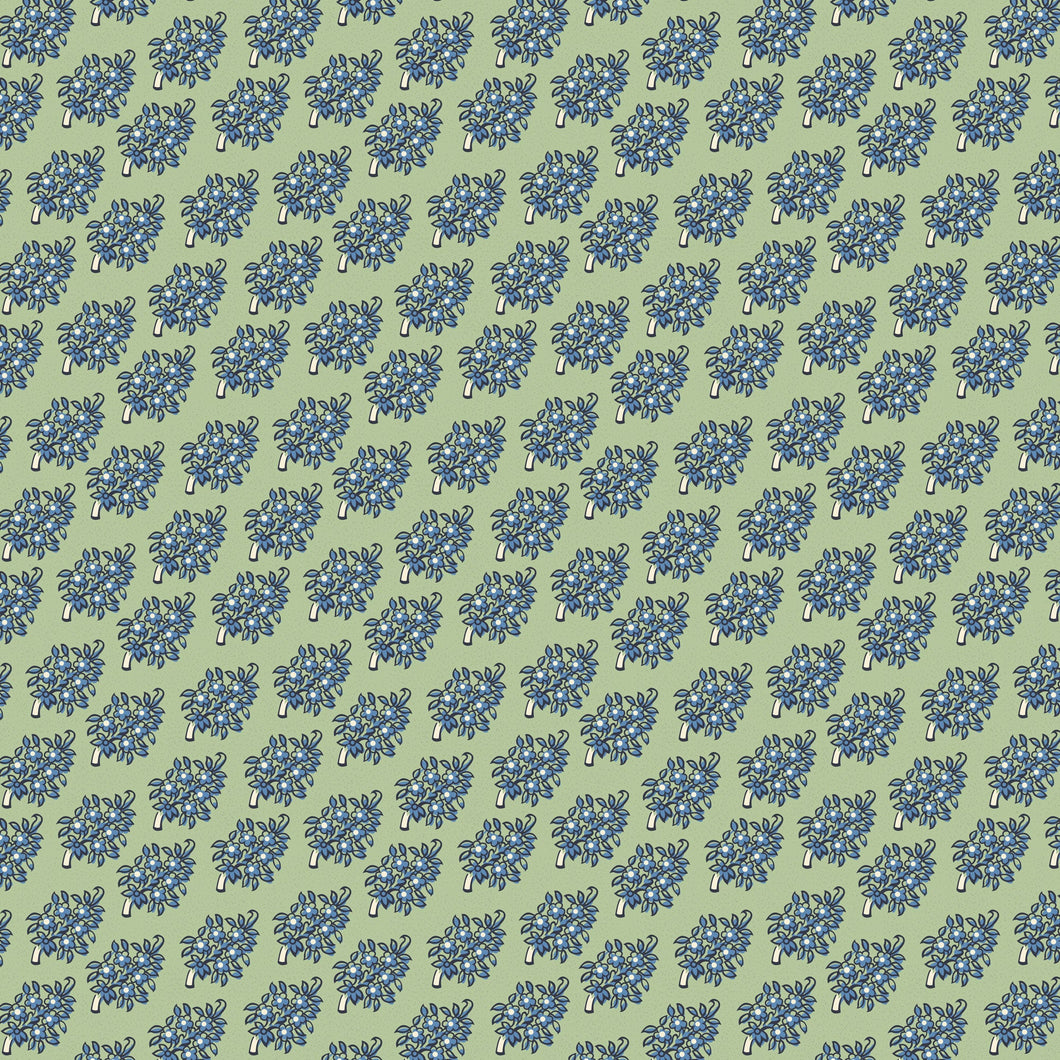 Peasholme Green- Heather