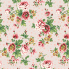 Darling Buds of May - Viola in Pink