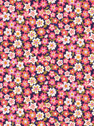 Liberty Tana Lawn© Daphne Olenna C