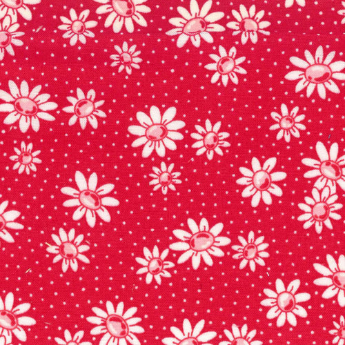 Happy Message - Daisies in Red