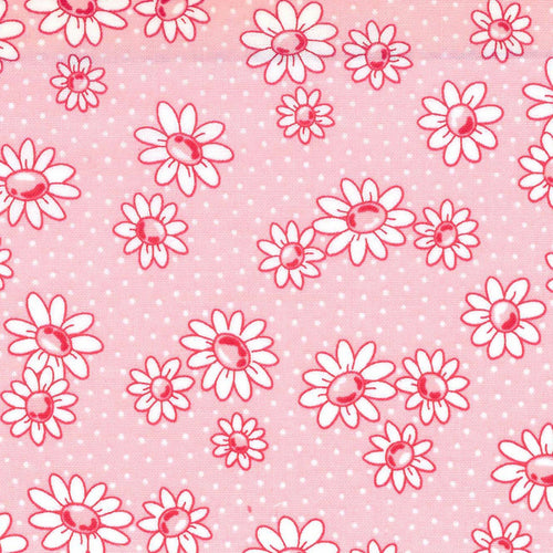 Happy Message - Daisies in Pink