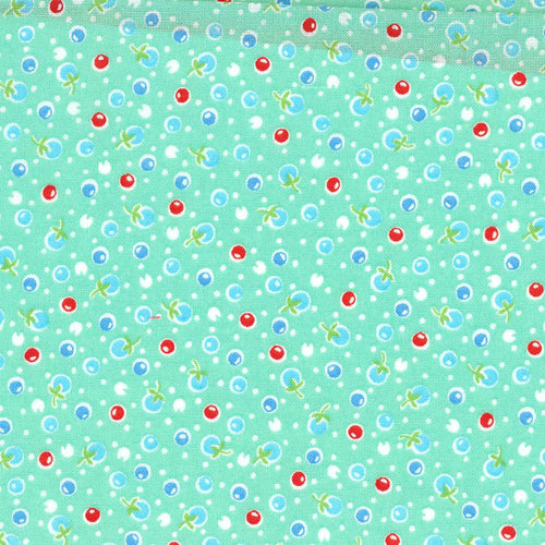 Happy Message - Berries on Aqua