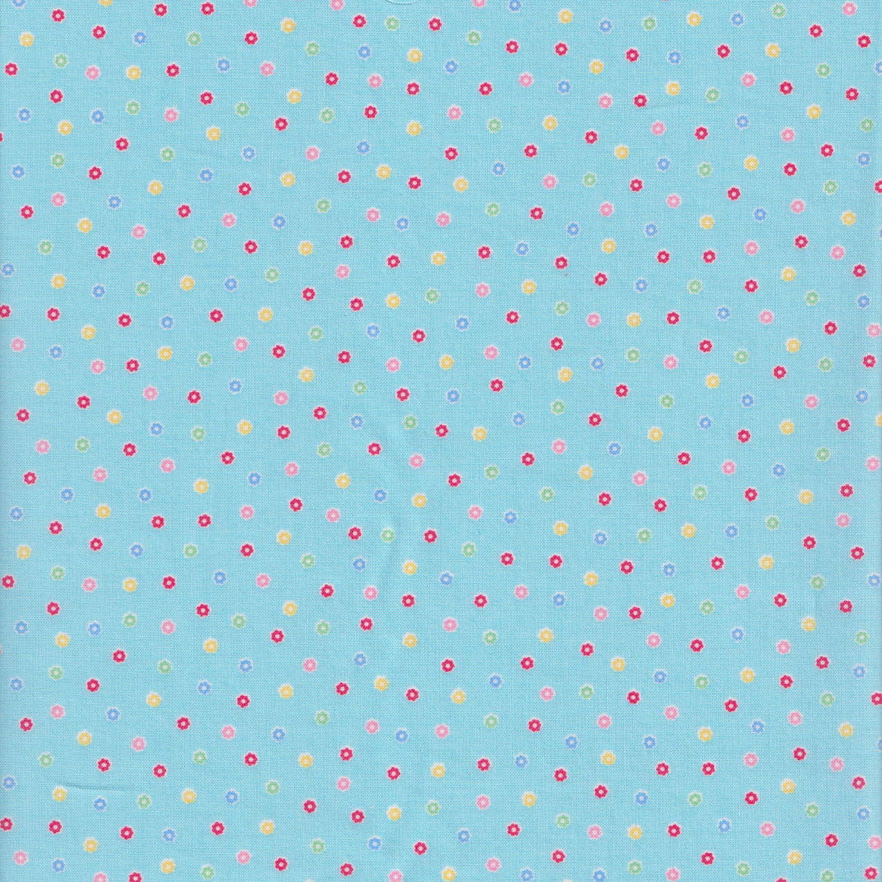 Happy Message - Flower Sprinkles on Blue
