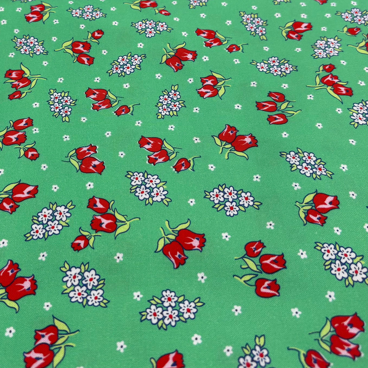 Momnson - Kimberly Rose on Light Green