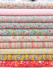 Load image into Gallery viewer, Everlasting Fat Quarter Bundle, 20 Pcs.
