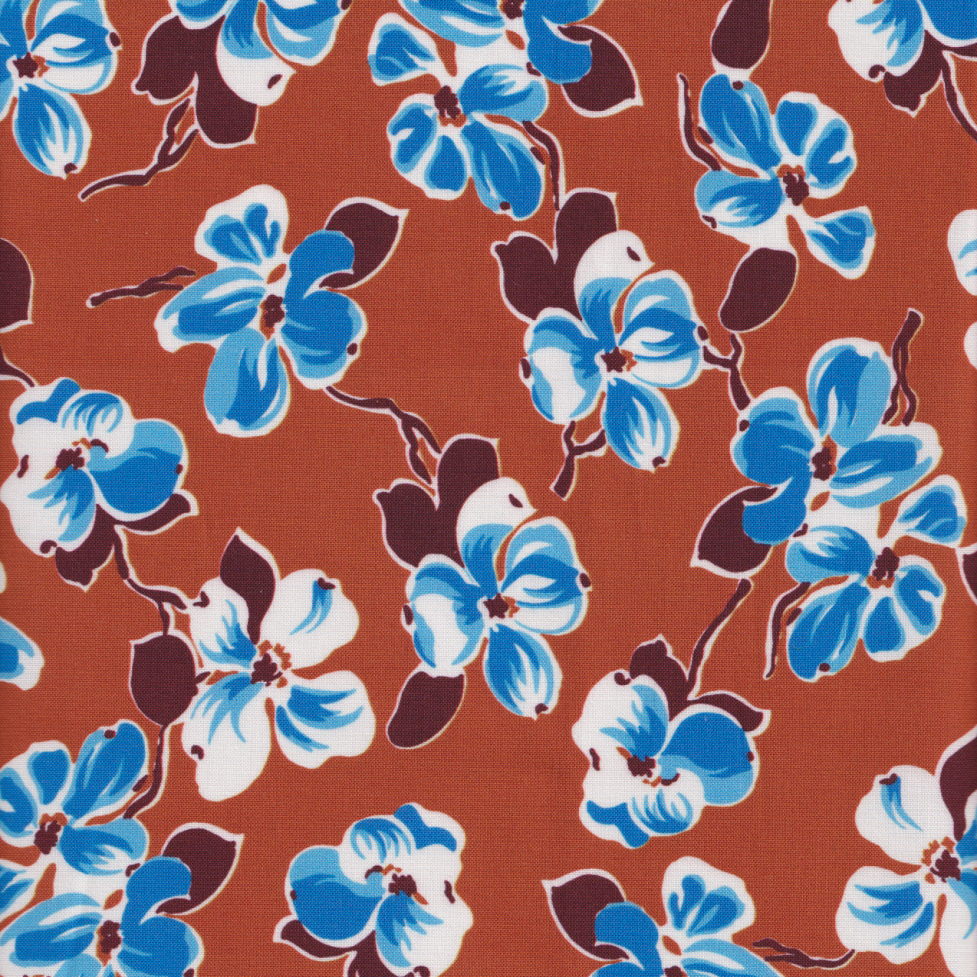  Momnson - Carol in Cocoa