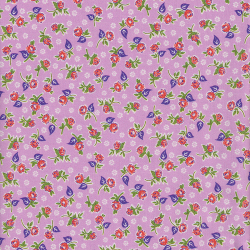 Momnson - Diette on Lavender