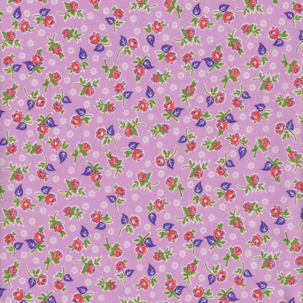 Momnson - Diette on Lavender