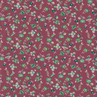 Momnson - Dianthus on Cocoa