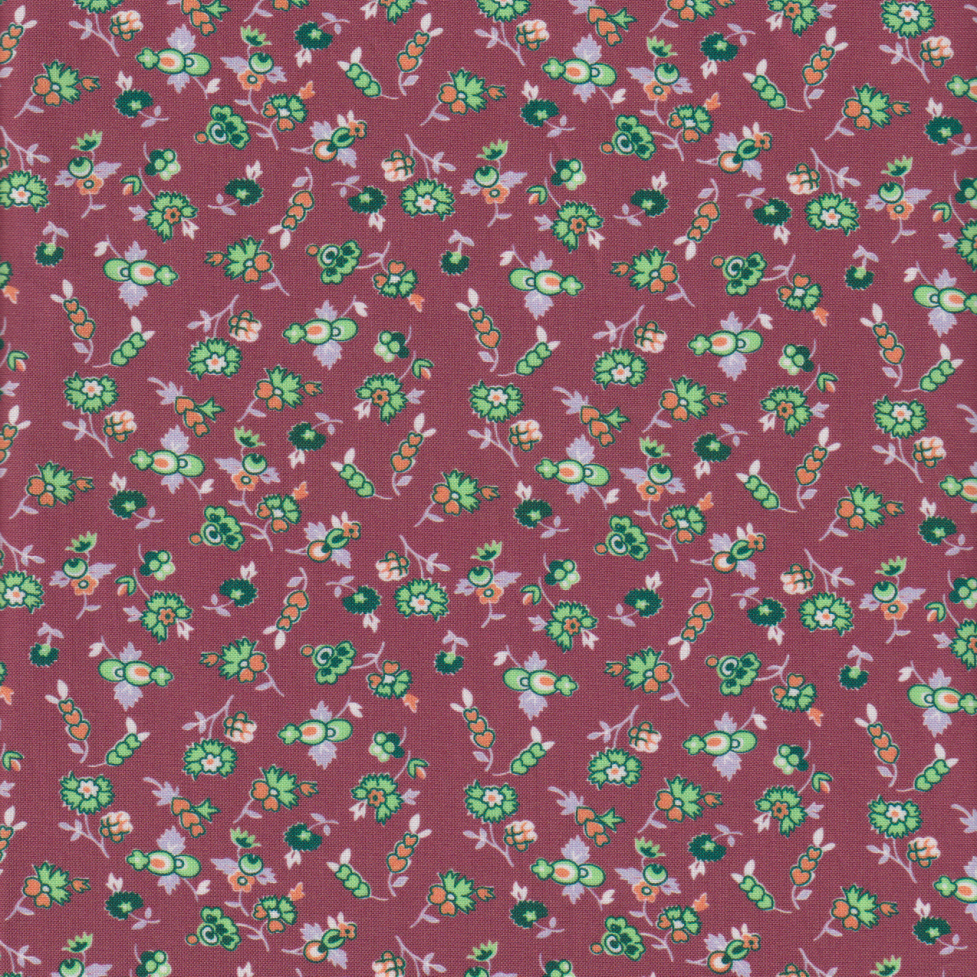 Momnson - Dianthus on Cocoa