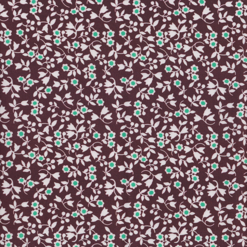  Momnson - Ginny in Espresso