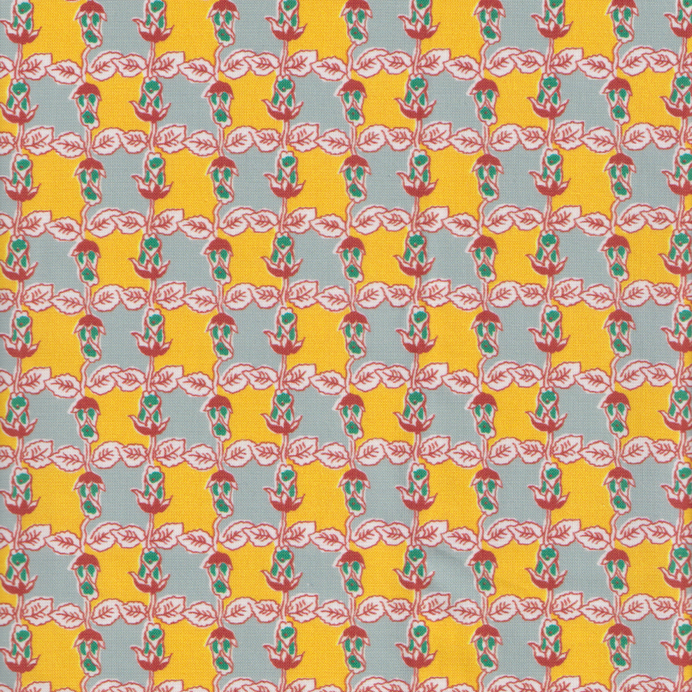  Momnson - Maisie in Sunshine