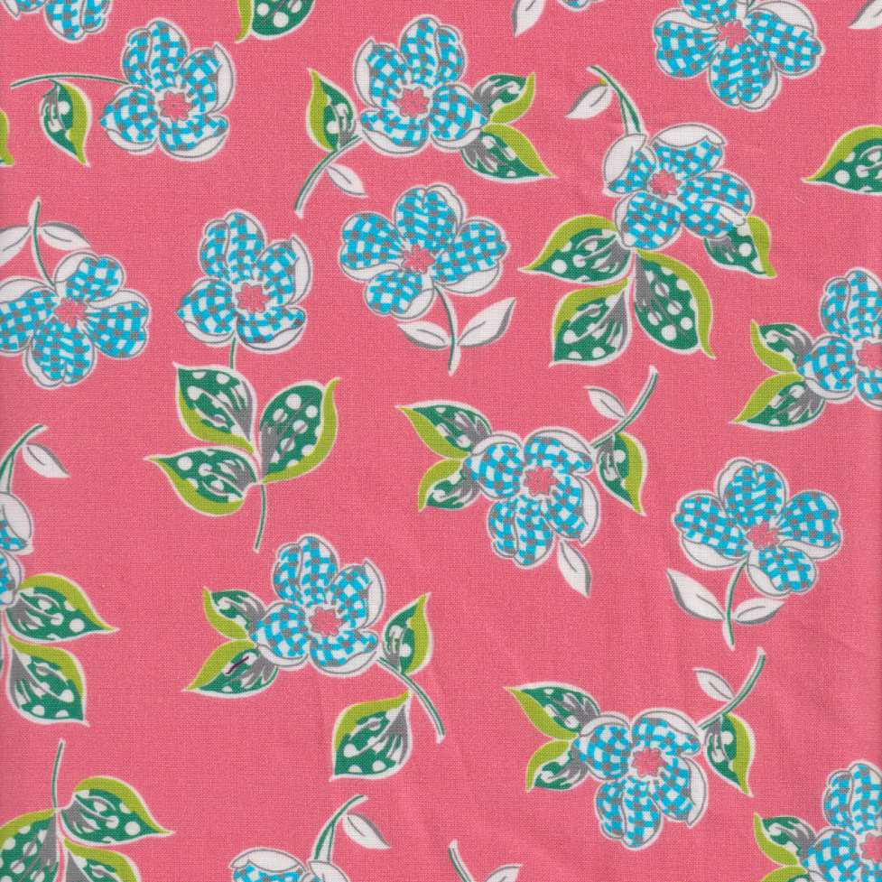  Momnson - Florence in Punch