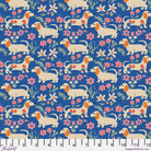 Stannie & Lloyd - Pemberley Pups in Delft