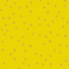Starry - NewGolden Hour