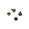 Sallie Tomato 12 Small Chicago Screws