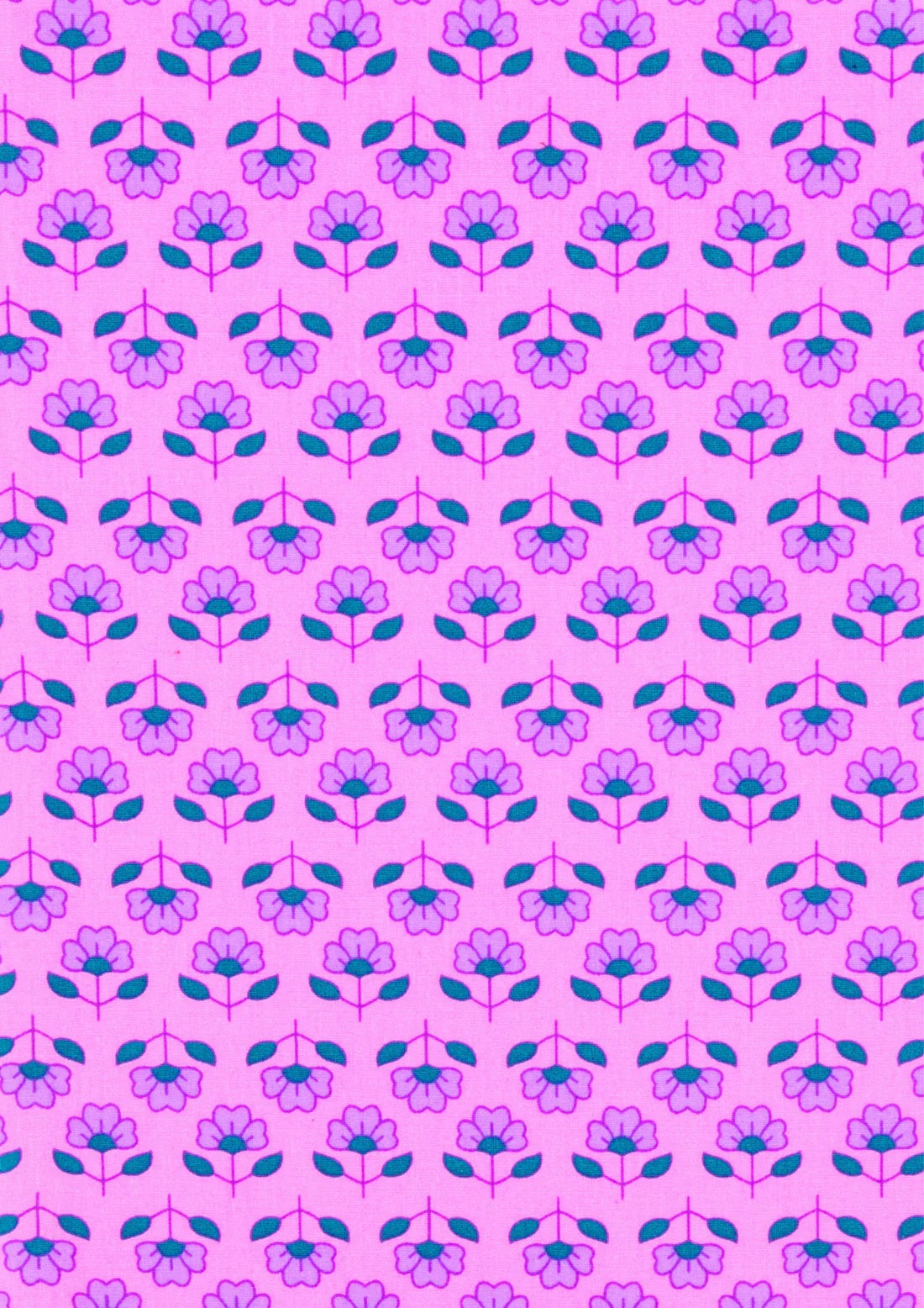 Petit Pan - Alisha Pink (needs image)