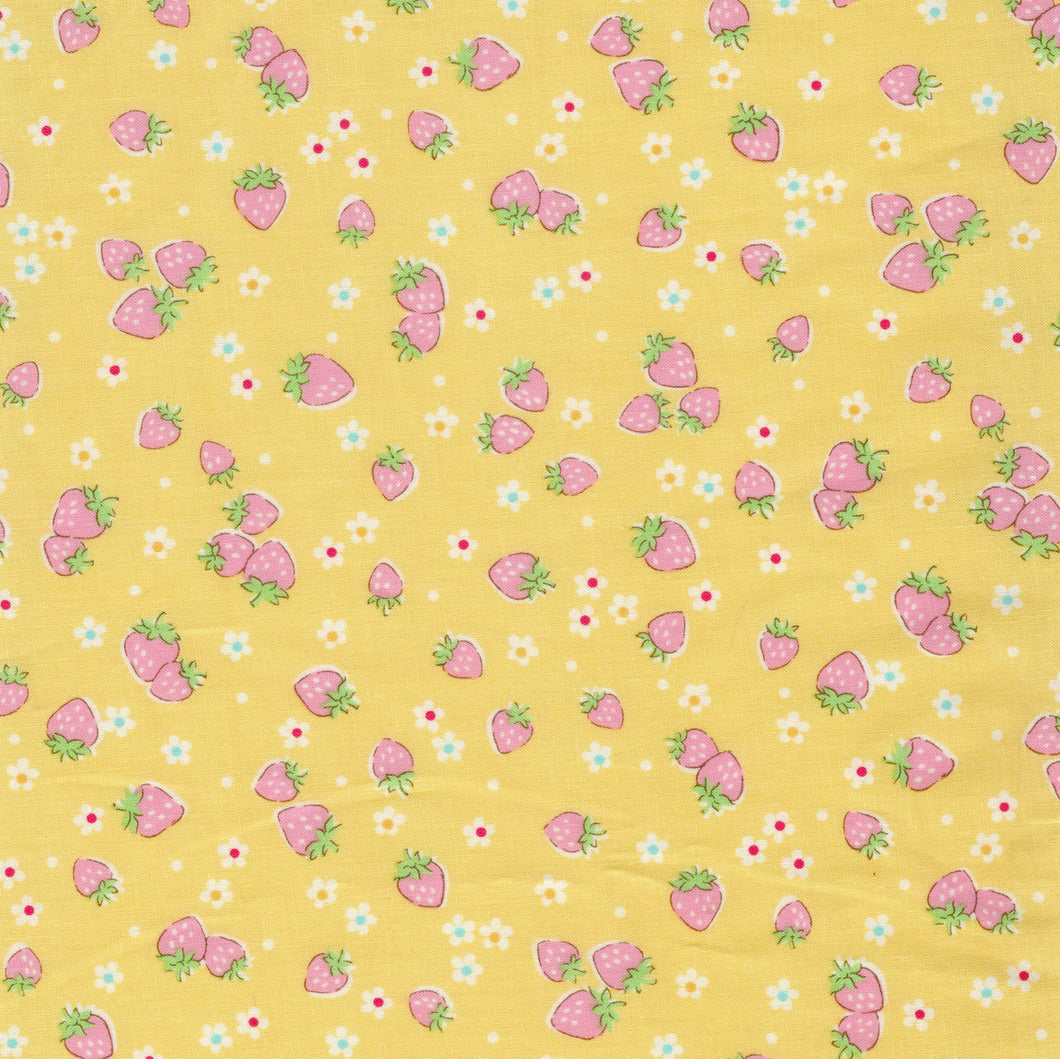 Atsuko Matsuyama - Candy Berry in Yellow