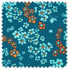 Petit Pan - Hanako Storm
