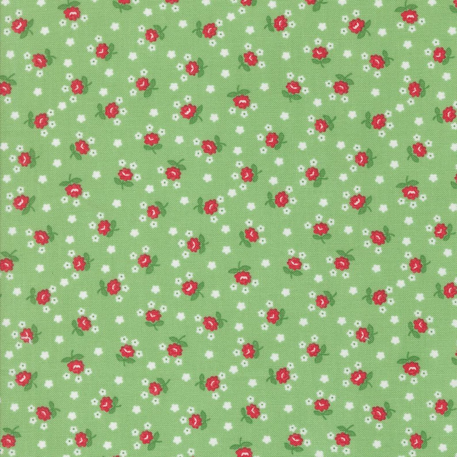 Summertime - Fairground in Green