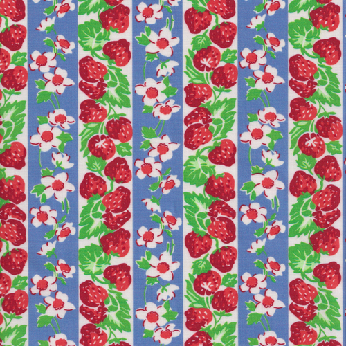 Momnson - Strawberry and Daisy Stripe