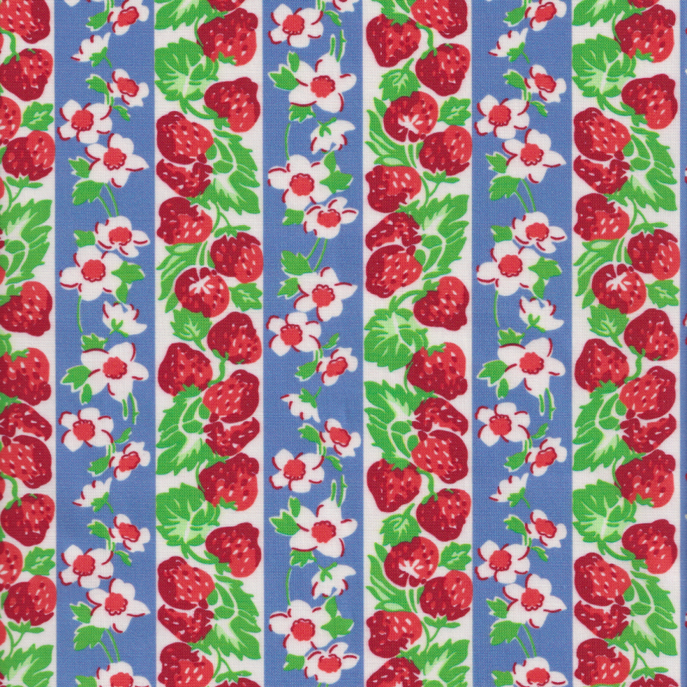 Momnson - Strawberry and Daisy Stripe