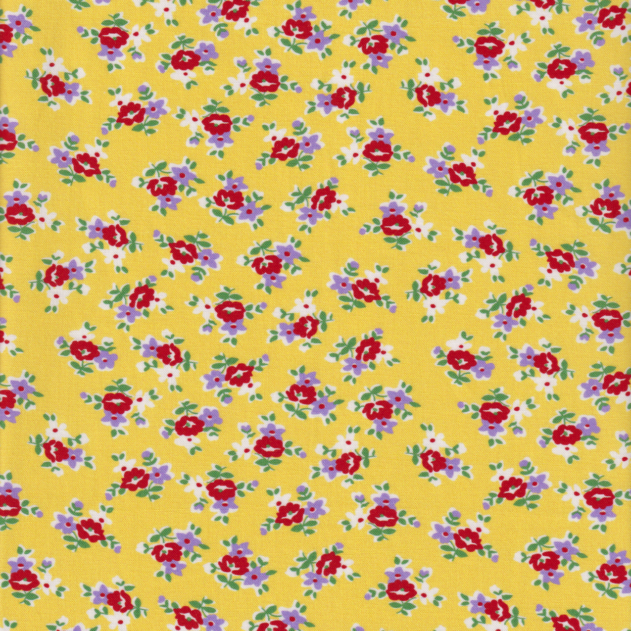 Momnson - Maya on Yellow