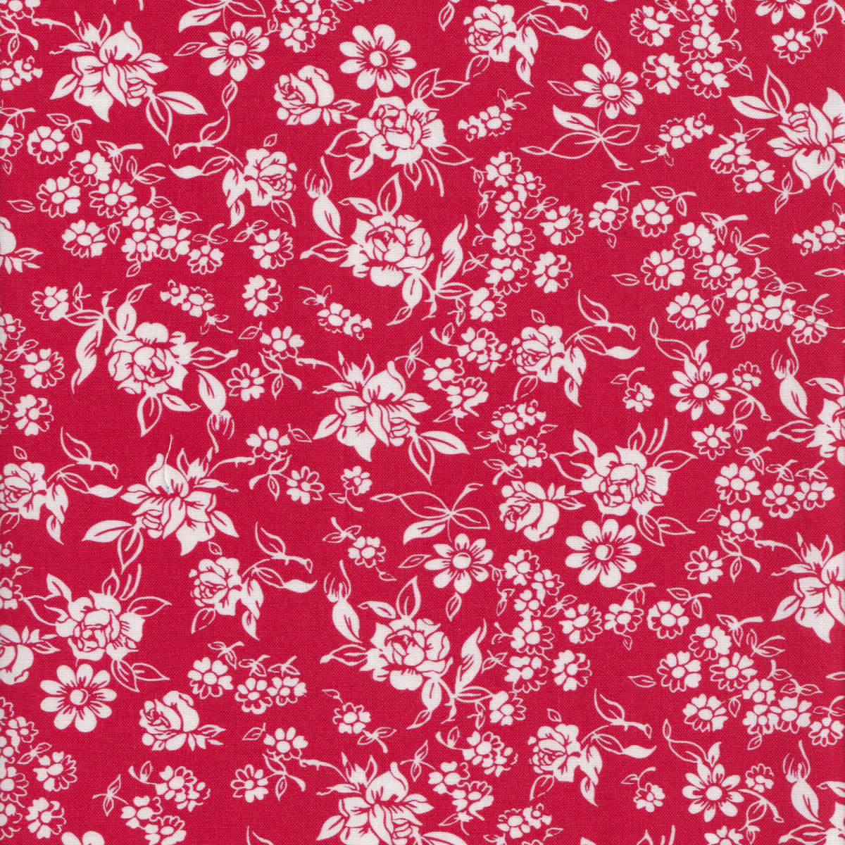 Momnson - Gabriela on Red